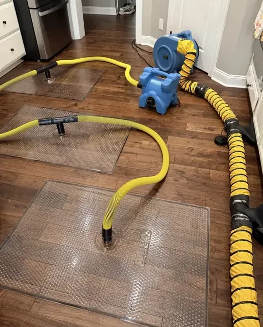 Drying hoses and air movers placed on a hardwood floor