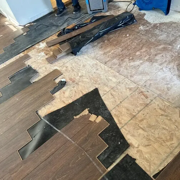 Removed plank flooring exposes wood subfloor and scattered debris