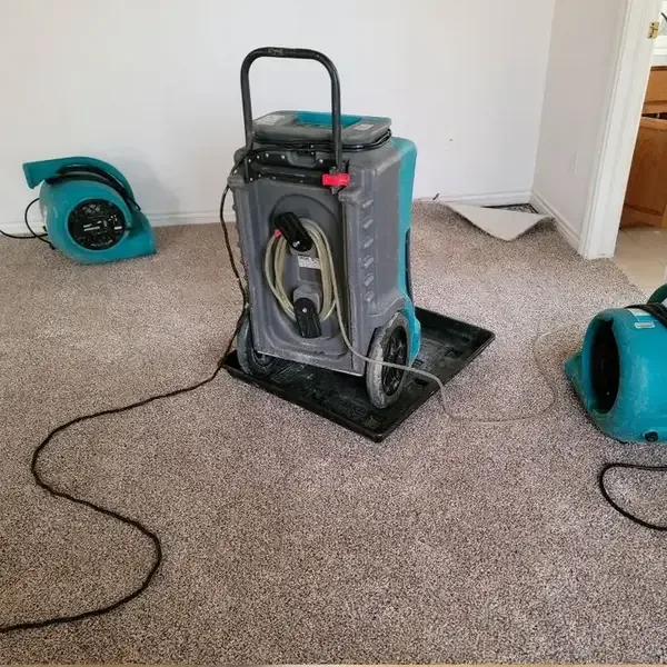 Air movers and a dehumidifier stand on a carpeted floor