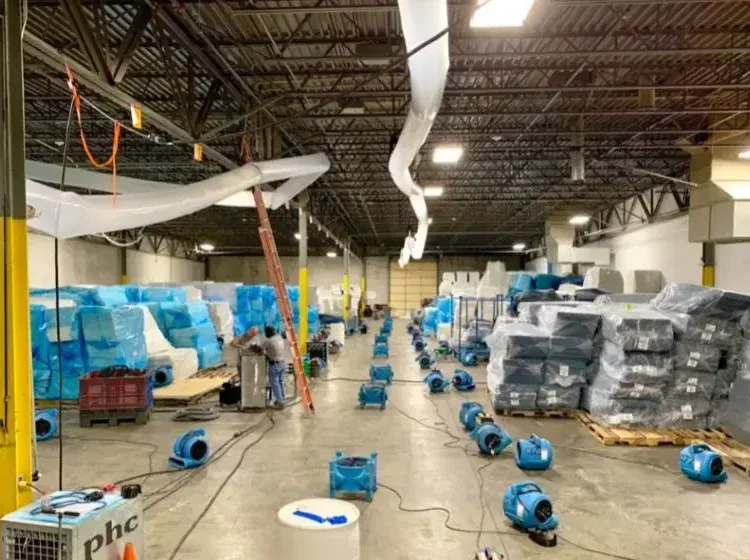 Rows of air movers and dehumidification equipment across a large commercial floor
